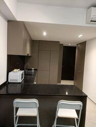 Park Colonial (D13), Condominium #503956661